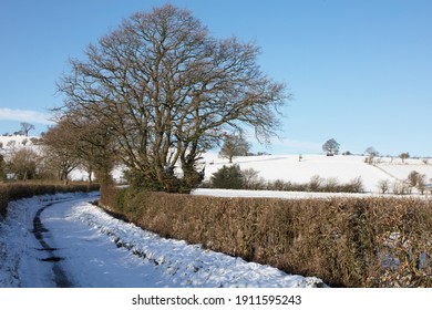 Snow Covered Lane And Snowy Winter Landscape In Rural Shropshire, UK