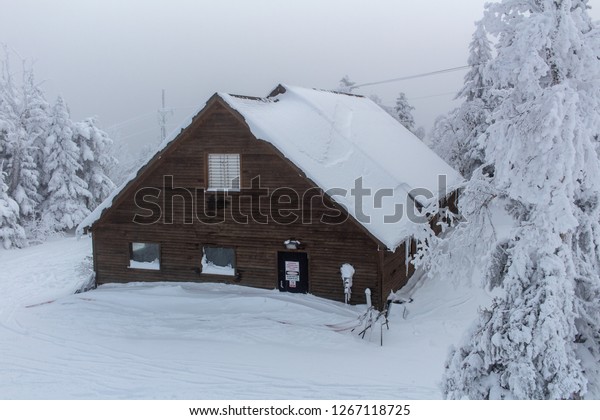 Snow Covered Log Cabin Woods Vermont Nature Vintage Stock Image