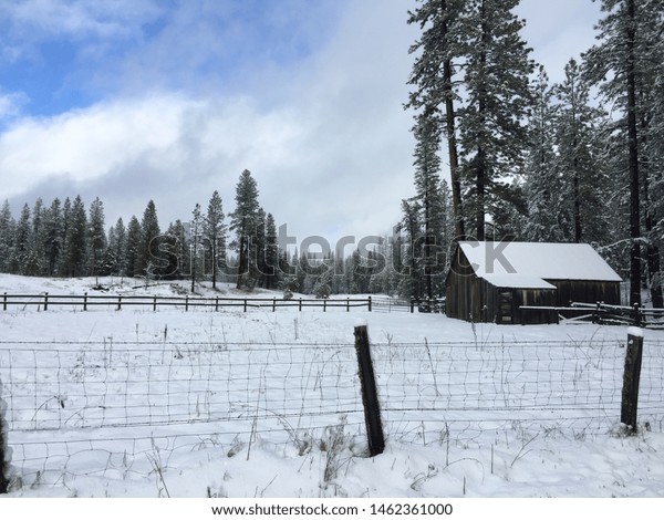 Snow Covered Meadow Cabin Off Side Stock Photo Edit Now 1462361000