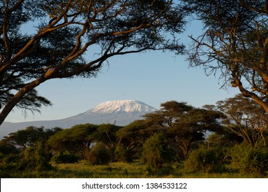 Snow covered Mount Kilimanjaro in Amboseli