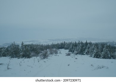 Snow Covered Mountain Background With Pinetree In Winter Season.