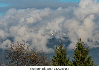 snow covered mountain range surrounded by thick ground on a sunny morning behind pine trees