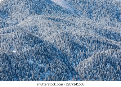 Snow covered mountain slopes. Bird's eye view of the winter forest - Powered by Shutterstock