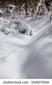 Snow Covered Mountain Trail, Hudson Valley, New York 