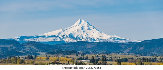 Snow Covered Mt Hood In The Pacific Northwest In Panoramic Format.