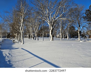 A snow covered park area with bare trees all around it on a clear day.