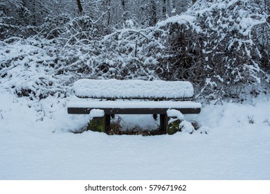 Snow Covered Park Bench In The Forrest