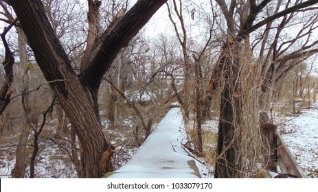 Snow Covered Path In Wichita County, Texas