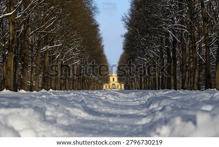 Snow covered pathway between rows of leafless trees leading toward a historic building on a sunny winter day. Symmetrical landscape with seasonal atmosphere and natural perspective.