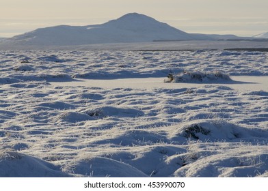 Snow Covered Peatland Landscape, Scotland/