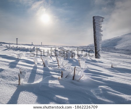 Similar – Image, Stock Photo Winter path…