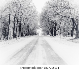 snow covered road with frost covered trees