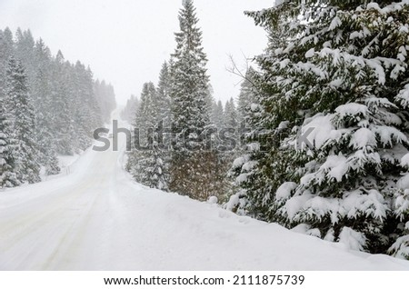 Snow covered road high in the mountains. Winter landscape scene. Pine trees under a large layer of snow. Snowfall in the highlands. Harsh winter. Natural photos in winter.