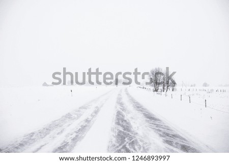 Similar – blow snow Landscape Winter