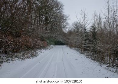 Snow Covered Road Through Eggesford Forest In Rural Devon, England, UK