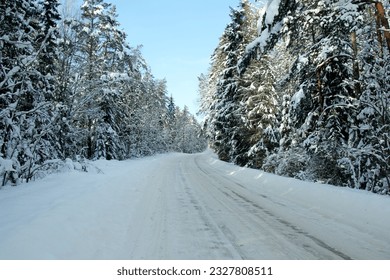 Snow covered road in winter and snow covered trees, sunny day without car