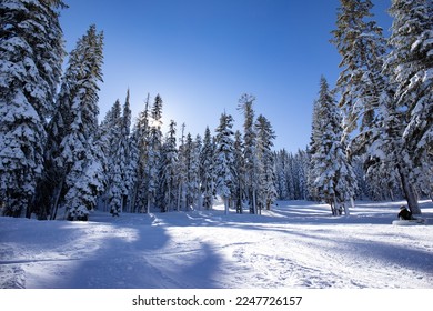 Snow covered ski slop Tahoe California - Shutterstock ID 2247726157