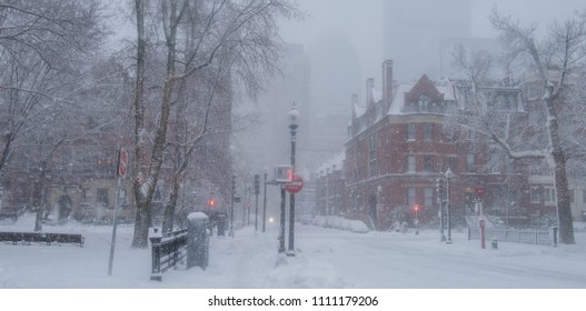 Snow Covered Streets  During Snowstorm, Back Bay, Boston