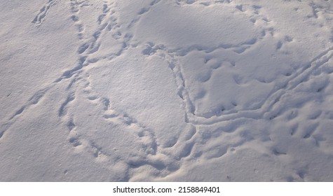 Snow Covered Surface With Lots Of Shoe Prints. Top View Of Human Boots Trace On Snow Ground In Winter. Several Human Foot Prints In Shoes On White Snow.