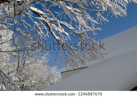 Snow covered tree branches over snowy house roof with blue sunny sky