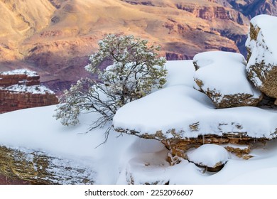 Snow covered tree sitting on a rocky outcrop at Mather point, Grand Canyon National Park. Boulders piled beside it, also covered with snow and iciles. North rim of the Grand Canyon in the background.  - Shutterstock ID 2252096607