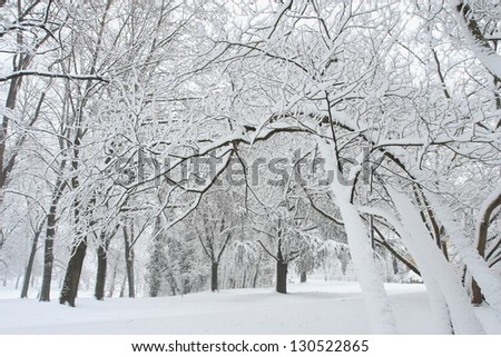 Similar – Image, Stock Photo Hidden Calm Winter Woman
