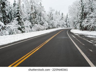 Snow covered trees along route 10 in Arrietta in Hamilton county in the Adirondack Forest Preserve in New York State