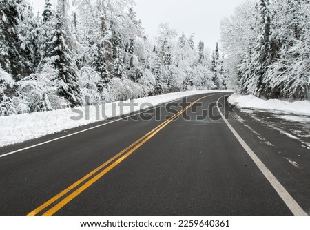 Snow covered trees along route 10 in Arrietta in Hamilton county in the Adirondack Forest Preserve in New York State