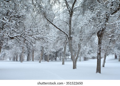 Snow Covered Trees And Forest At Lindley Park In Bozeman, Montana.