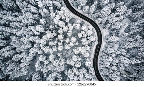 Snow covered trees and road line, aerial drone photo.