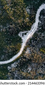 Snow Covered Trees And Roads