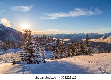 Snow covered trees with Whistler Creekside valley in the background.