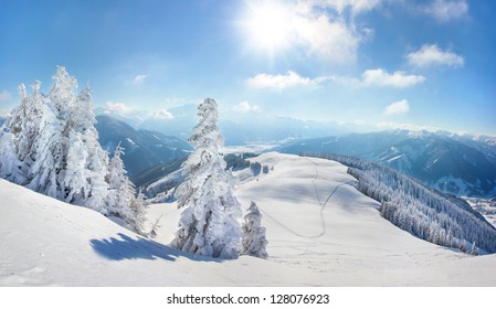 Snow Covered Tress Winter Landscape