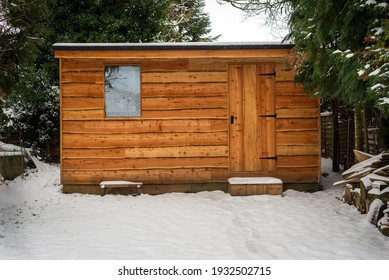 Snow Covered Waney Edged Wooden Garden Shed And Garden In Winter