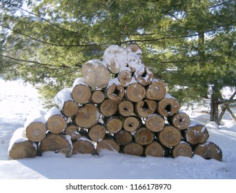 Snow Covered Winter Wood Pile