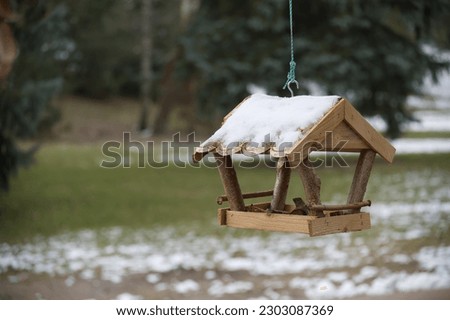 Snow covered wooden wild bird feeder hanging on a tree branch, blurred park or forest background