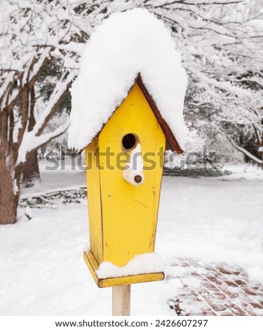 Snow Covered Yellow Birdhouse winter
