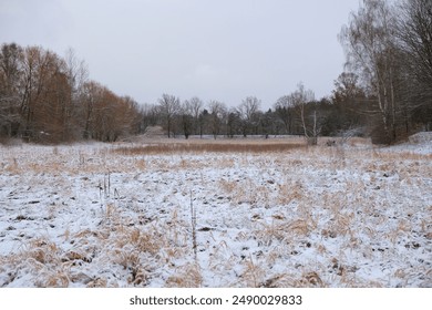 Snow covered Yellow frosty dry grass field.  wild grass on a snowy meadow in winter. - Powered by Shutterstock