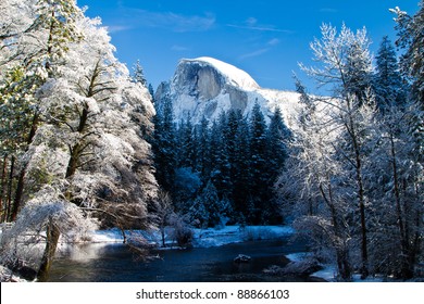 Snow Covered Yosemite Half Dome And Trees