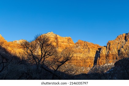 Snow Covered Zion National Park Utah Winter Landscape