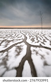Snow covers the seashore and forms patterns as water flows in channels. A lone tree stands amidst the landscape as the sun sets in the distance, creating a striking scene.