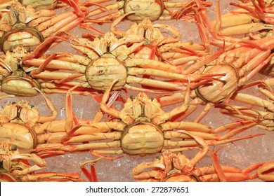 Snow Crab (Chionoecetes Opilio) Shop In Japan