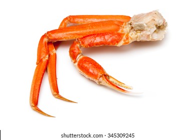 Snow Crab Chionoecetes Opilio Tanner Crab Stock Photo 345309245 ...