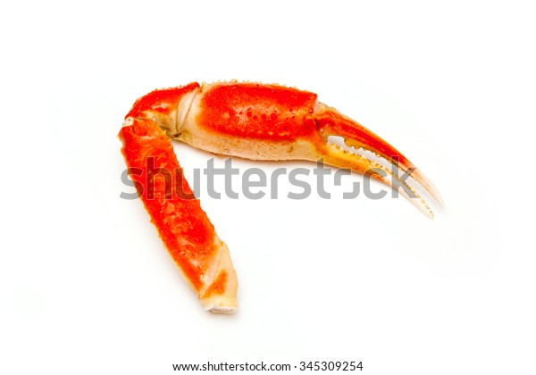 Snow Crab Chionoecetes Opilio Tanner Crab Stock Photo 345309254 ...