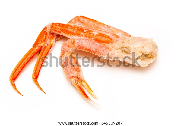 Snow Crab Chionoecetes Opilio Tanner Crab Stock Photo (Edit Now) 345309287