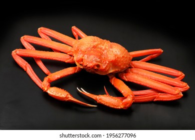 Snow Crab On Black Background