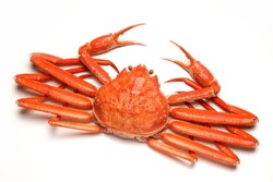 Snow Crab On A White Background