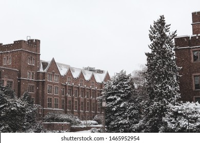 Snow day in Seattle at the University of Washington