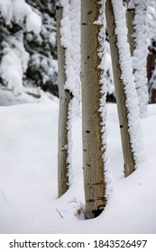 Snow at Deer Valley, Utah, near Salt Lake City during ski season..