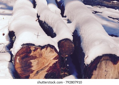 Snow drenched logs